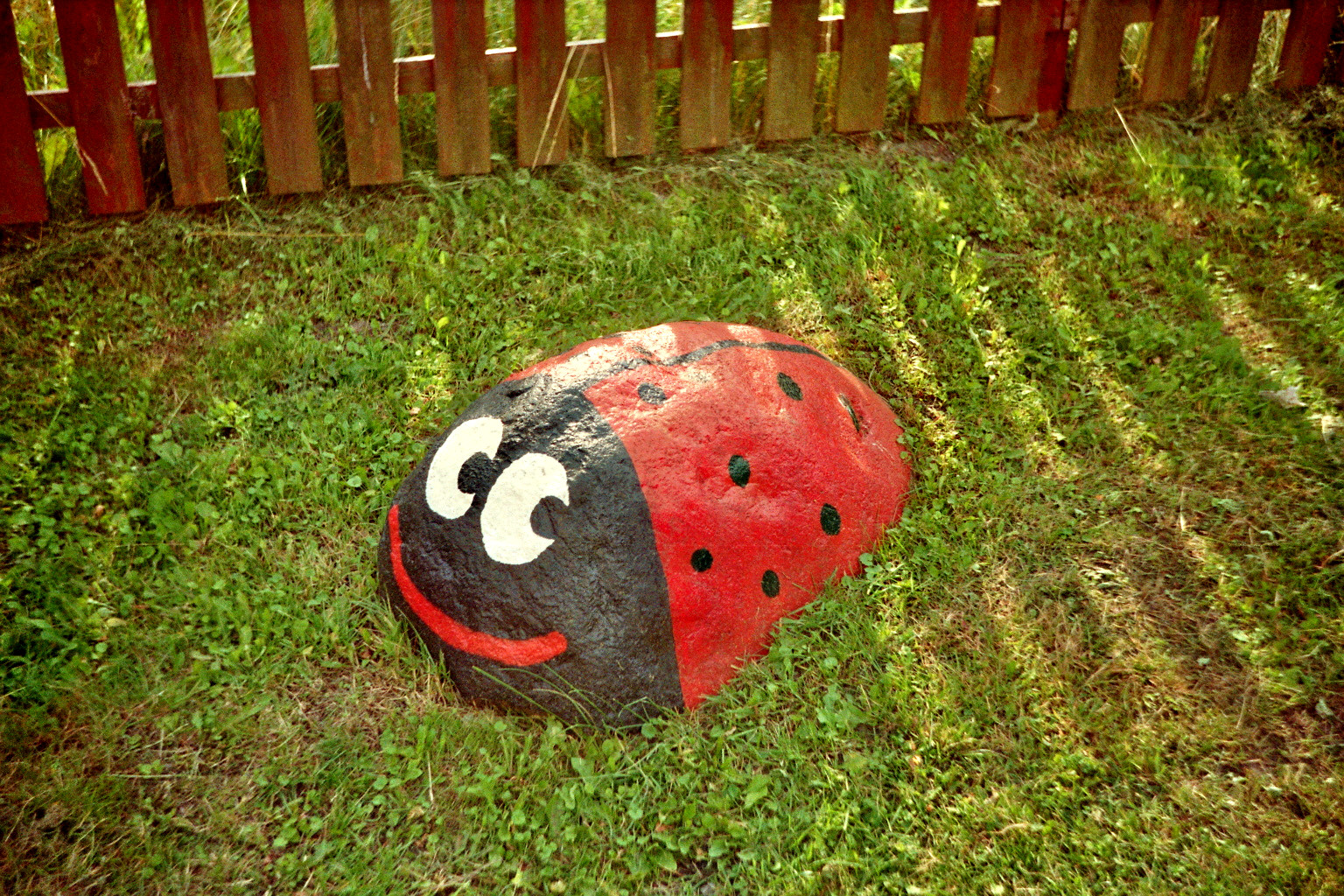 ../Images/Image000_0A5 (32).jpg